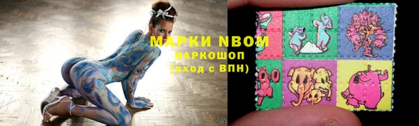 шишки Балабаново