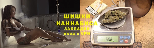 шишки Балабаново