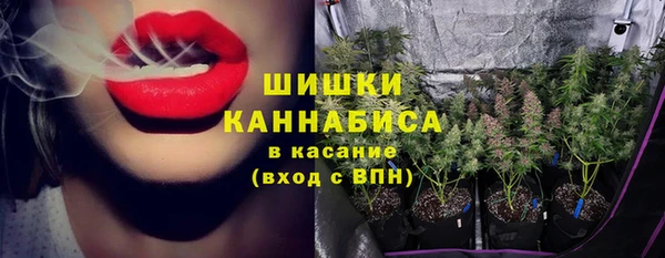 шишки Балабаново