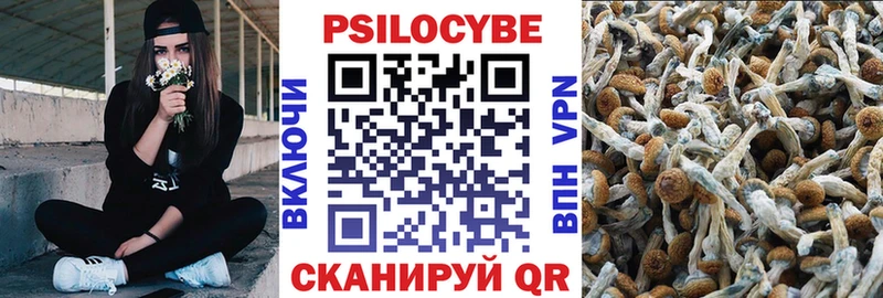 Псилоцибиновые грибы Cubensis  купить  сайты  mega сайт  Петров Вал 